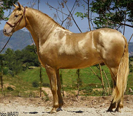 Dilutes Australia Pearl Register