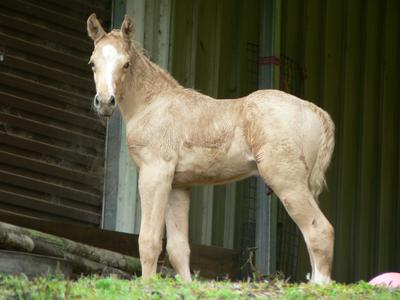 10 days old