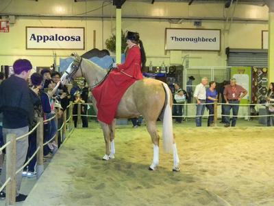 Razz and Wendy Tidbold- Bne Ekka