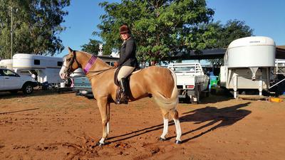 Champion Show Hunter Hack - Charleville